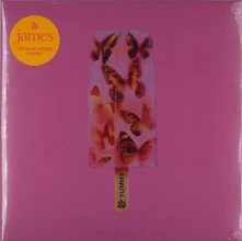 Vinyl YUMMY