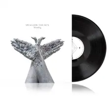 Vinyl Shining