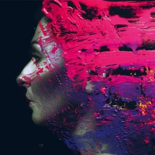 Steven Wilson, CD HAND.CANNOT.ERASE.