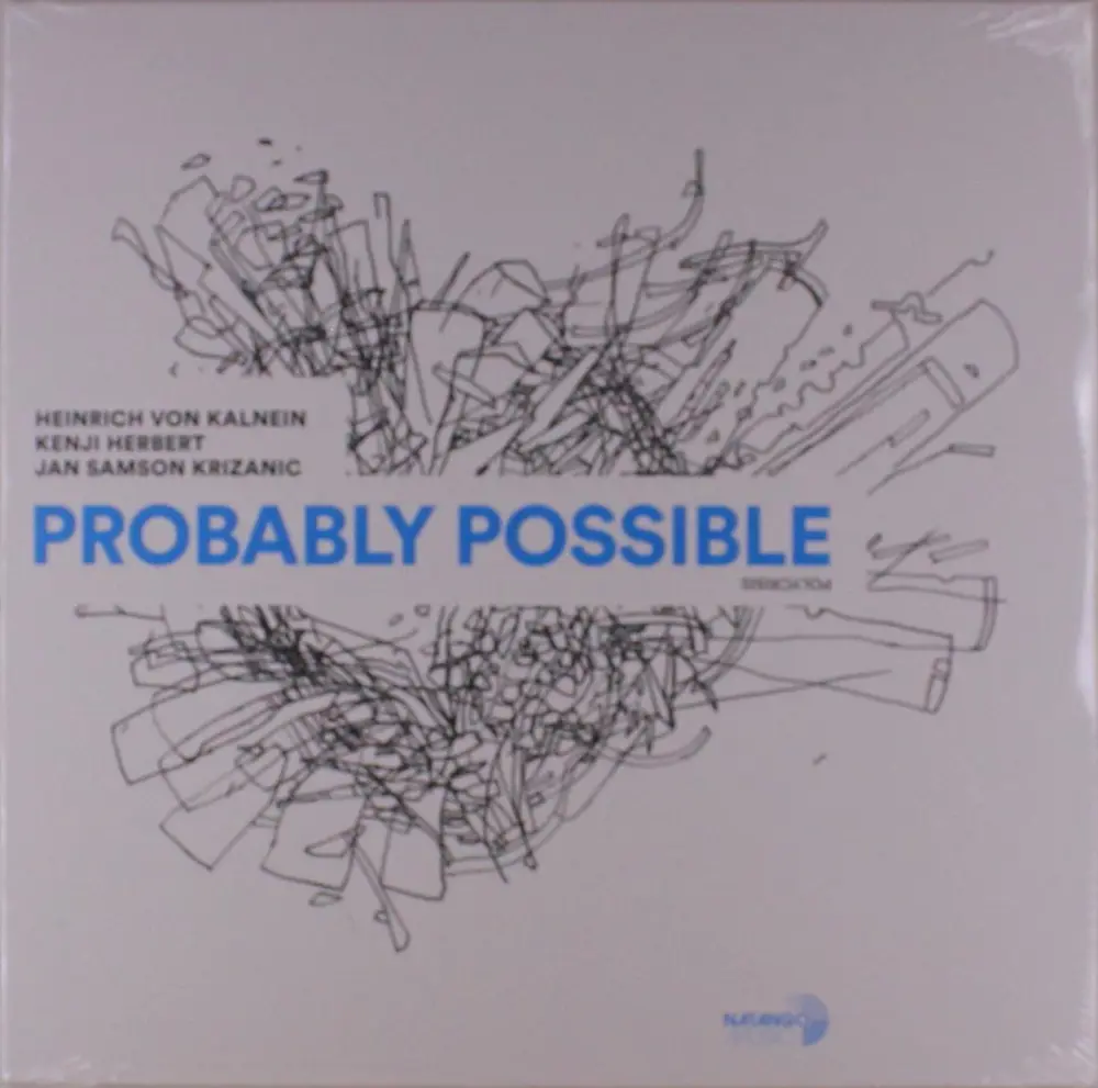 PROBABLY POSSIBLE