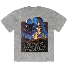 Luke & Leia Pose thumbnail