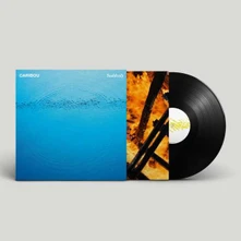 Caribou, Vinyl SUDDENLY