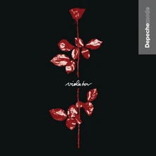 CD Violator