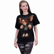 Gizmo thumbnail