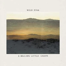 Vinyl A BILLION LITTLE LIGHTS