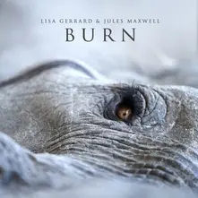 Burn thumbnail
