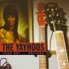 The Yayhoos, Vinyl FEAR NOT THE OBVIOUS