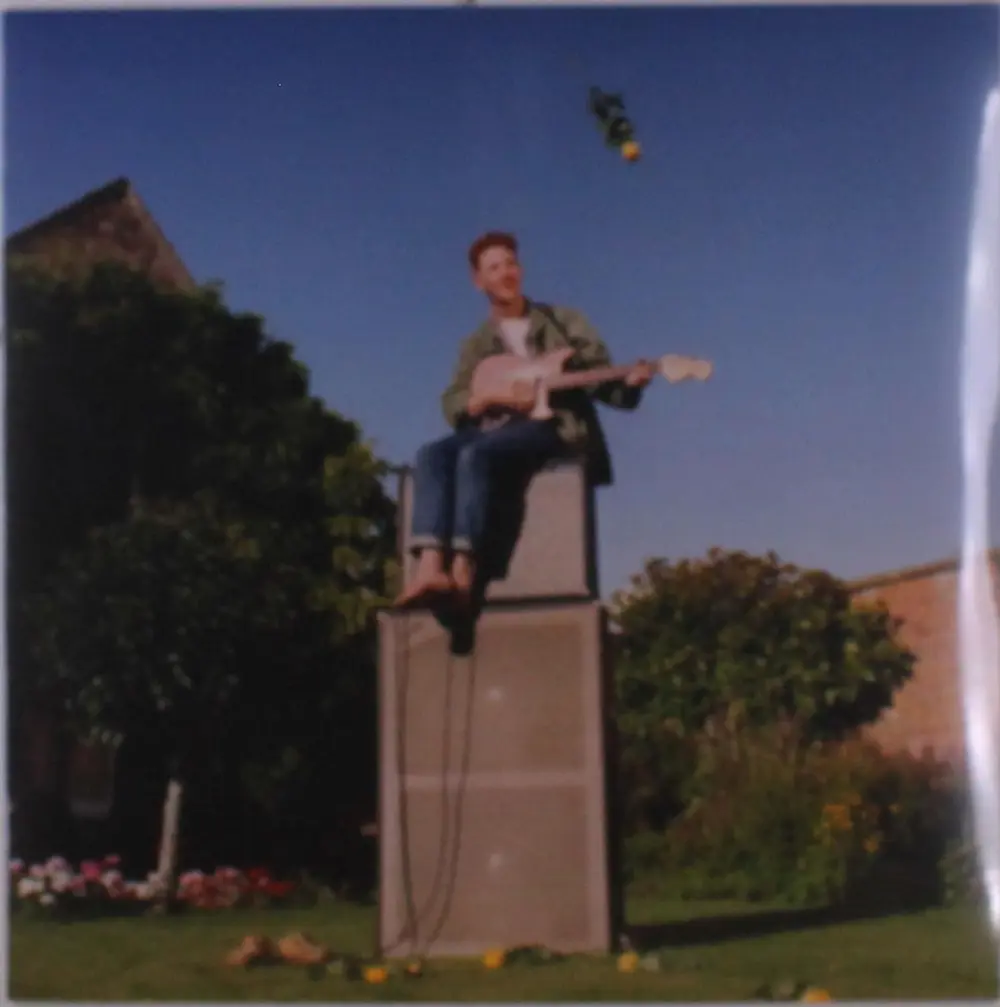Willie J Healey – TWIN HEAVY (Vinyl)