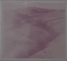 THEODORE WILD RIDE thumbnail