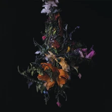BIG|BRAVE, Vinyl NATURE MORTE