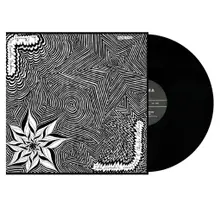 Vinyl THE PSYCHEDELIC SAXOPHONE OF CHARLIE NOTHING/IN ETERNITY WITH BROTHER FREDERIC
