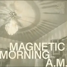 Vinyl A.M.
