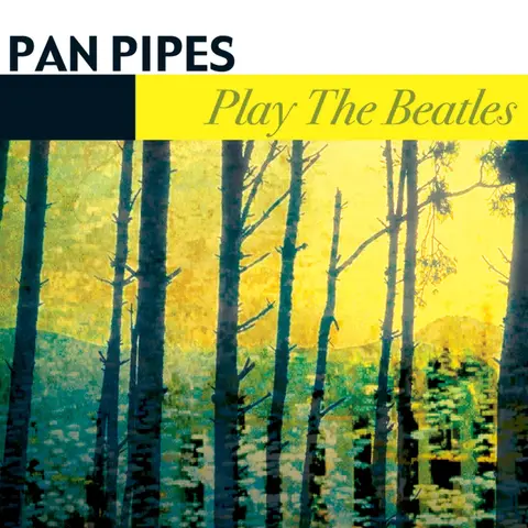 PLAY THE BEATLES