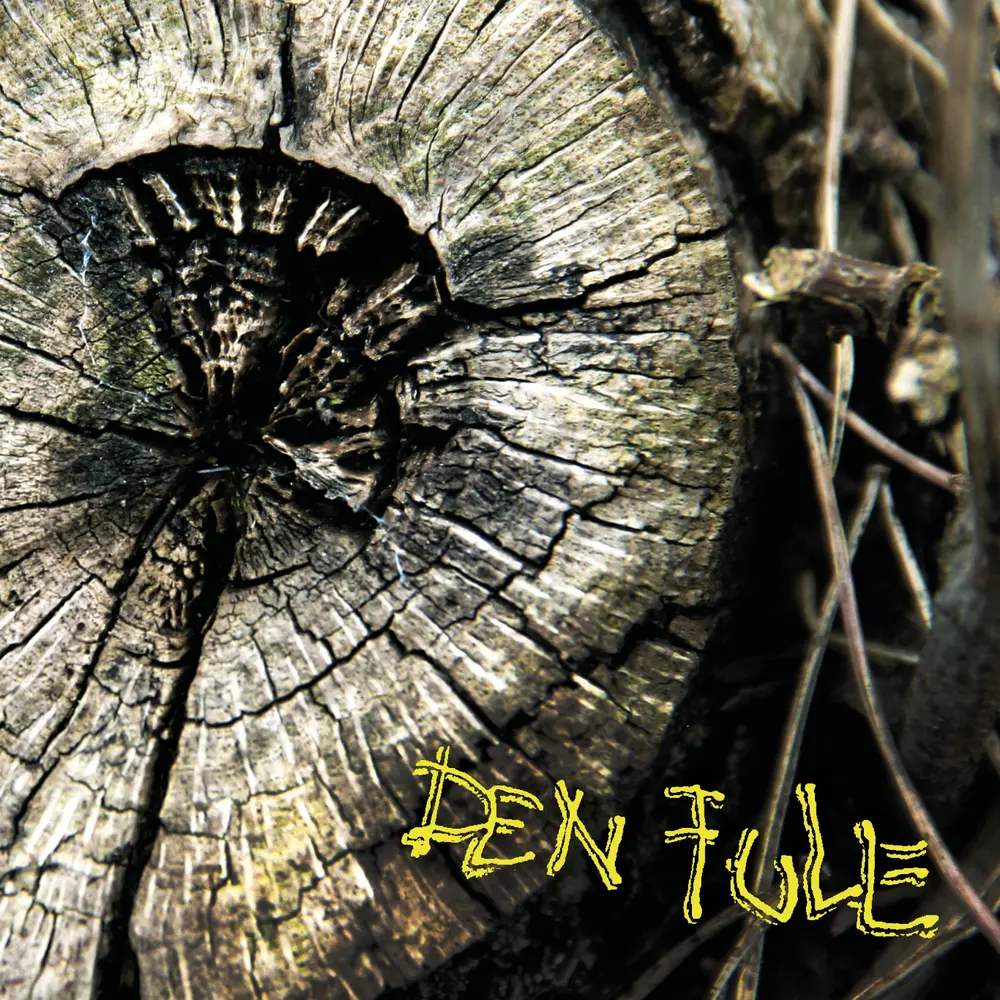 DEN FULE (CD)