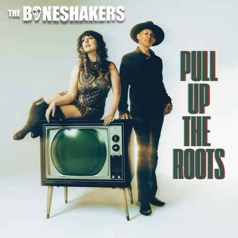 PULL UP THE ROOTS