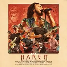 Liveforms: an Evening With Haken thumbnail