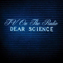 TV On The Radio, Vinyl DEAR SCIENCE