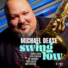 SWING LOW thumbnail