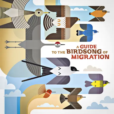 A GUIDE TO THE BIRDSONG OF MIGRATION