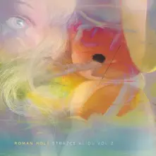 Roman Holý, Vinyl Strážce klidu Vol.2