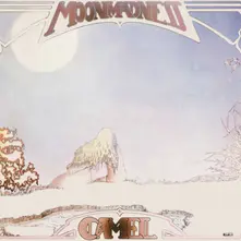 Vinyl Moonmadness