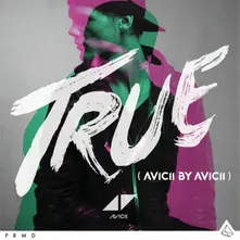 TRUE: AVICII BY AVICII thumbnail