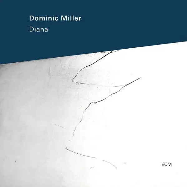 Dominic Miller – DIANA (CD)