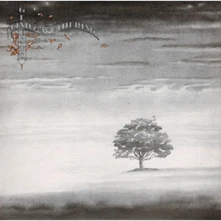 Vinyl WIND AND WUTHERING
