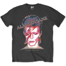 Aladdin Sane