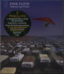 A Momentary Lapse of Reason (Remixed & Updated 2019) thumbnail