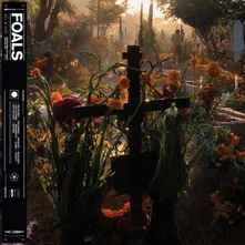 Foals, Vinyl EVERYTHING NOT SAVED WILL BE LOST PART 2
