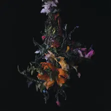 Vinyl NATURE MORTE