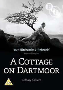 COTTAGE ON DARTMOOR thumbnail