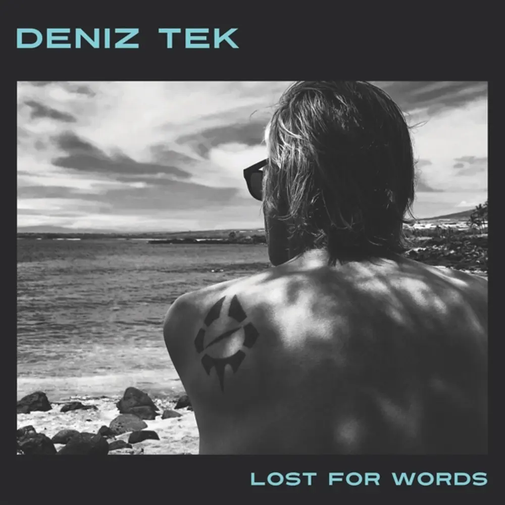 Deniz Tek – LOST FOR WORDS (Vinyl)