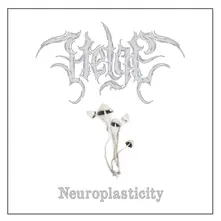 NEUROPLASTICITY thumbnail