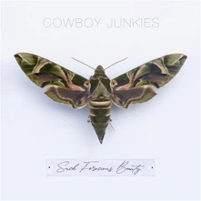 Cowboy Junkies, CD SUCH FEROCIOUS BEAUTY