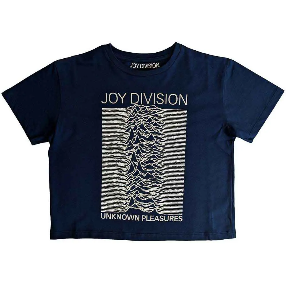 Unknown Pleasures