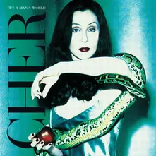 Cher, Vinyl It's a Man's World