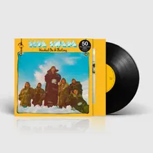 Vinyl HOOKED ON A FEELING