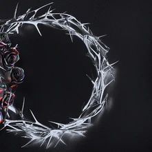 The Rose, CD DUAL (DUSK)