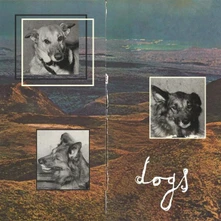 Steve French, Vinyl DOGS