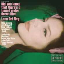 Did You Know That There's A Tunnel Under Ocean Blvd (Alternative Cover 2) thumbnail