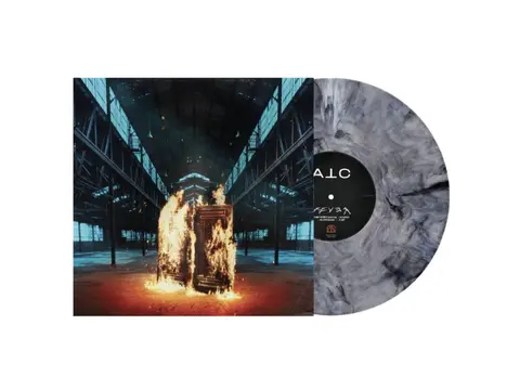 Vinyl FEVER