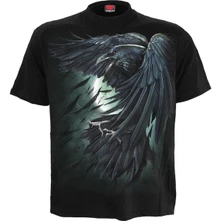 Shadow Raven thumbnail
