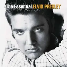 Vinyl The Essential