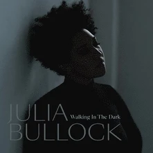 Vinyl Walking In The Dark