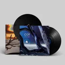 Vinyl MUSICK TO PLAY IN THE DARK 2