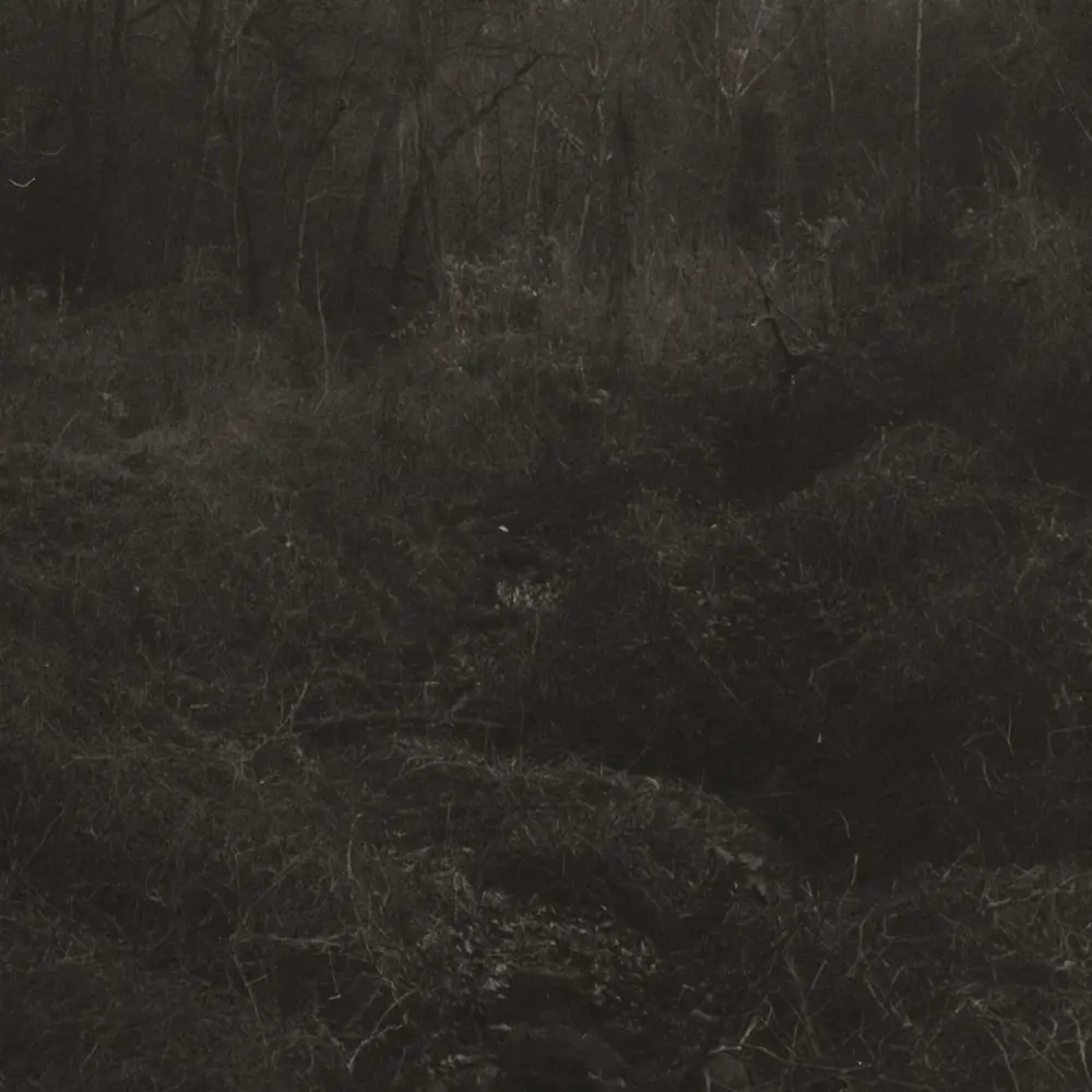 TRANSIENT