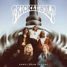 CD HONEY FROM THE SKY