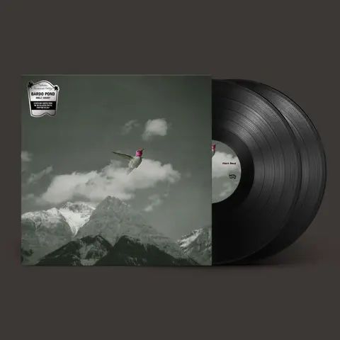 Bardo Pond – Vinyl MELT AWAY